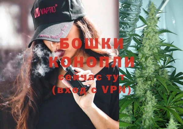 гидра Алексин