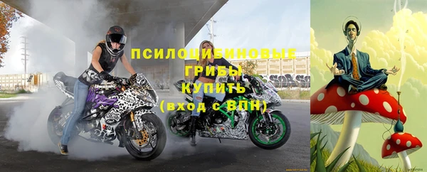 гидра Алексин