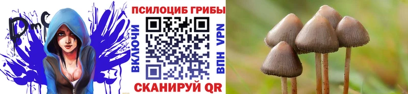Псилоцибиновые грибы Psilocybe hydra ONION Гаврилов Посад